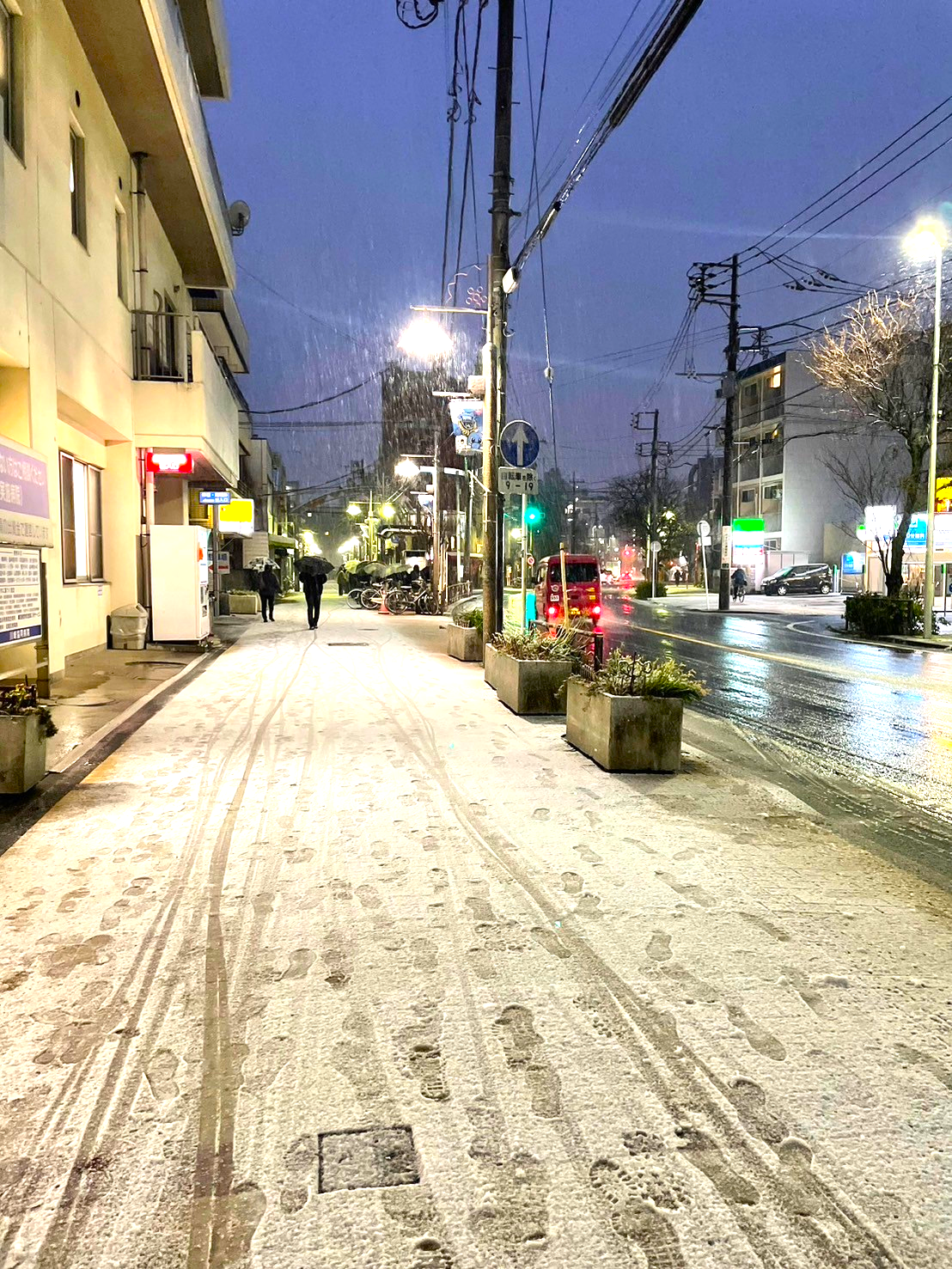 雪が降りました