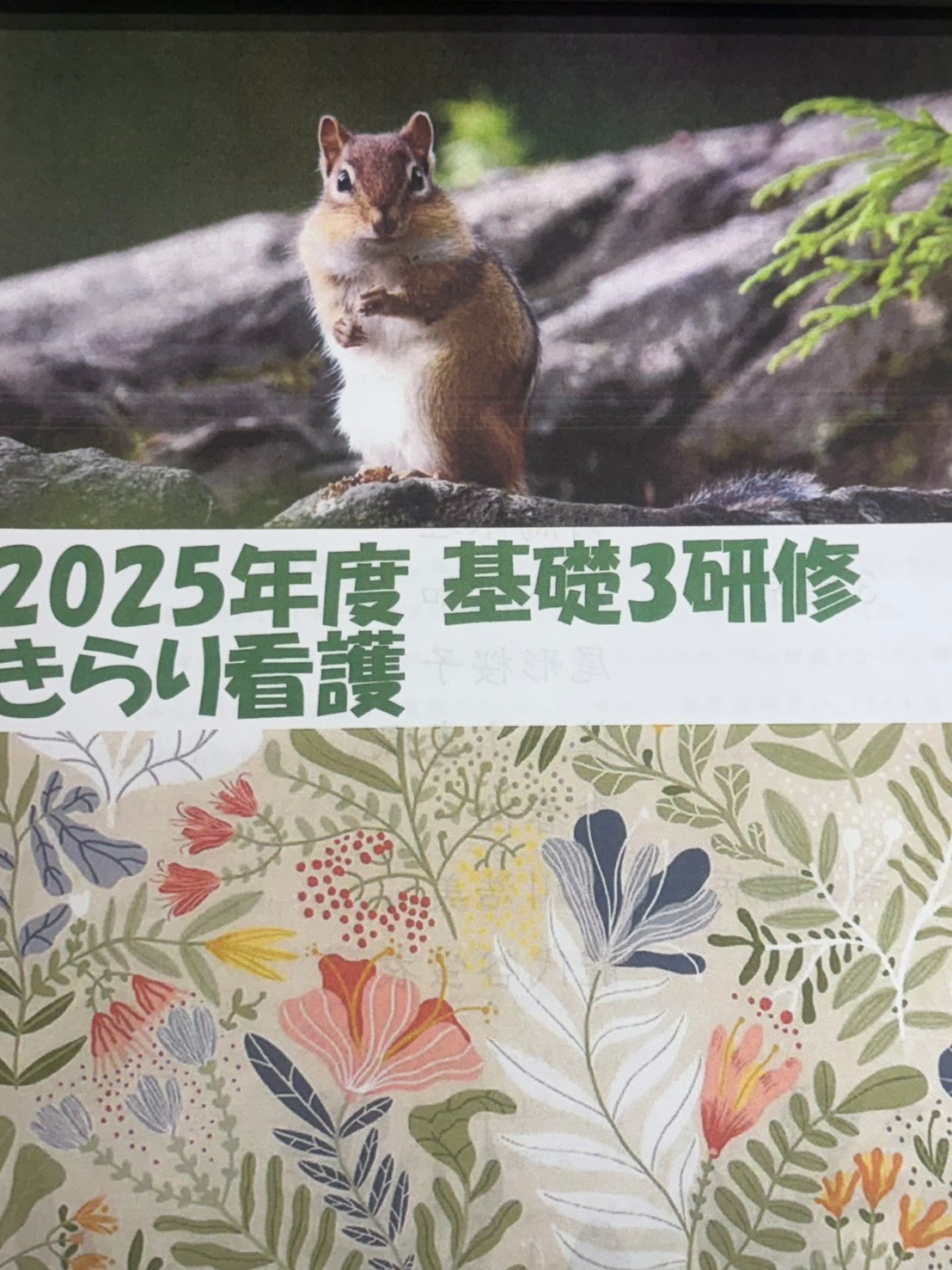 基礎３研修 きらり看護発表会